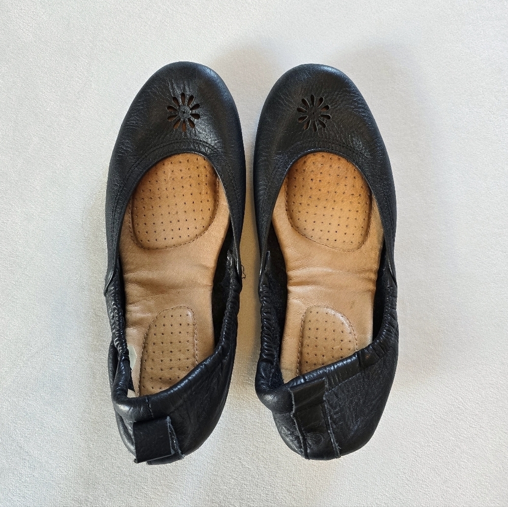 Acornโช๏ธBlack Via Ballet Flat